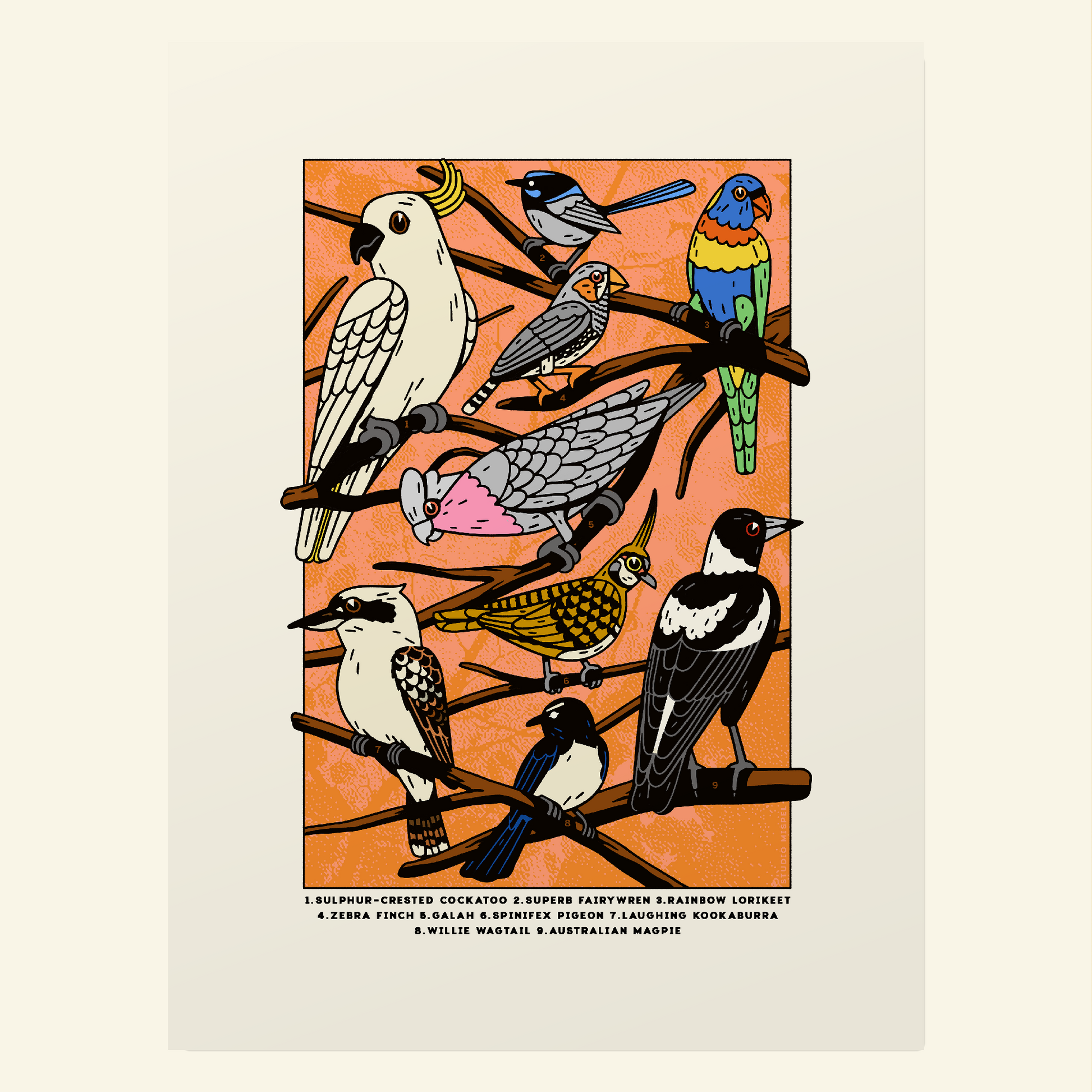 Aussie Birds Poster